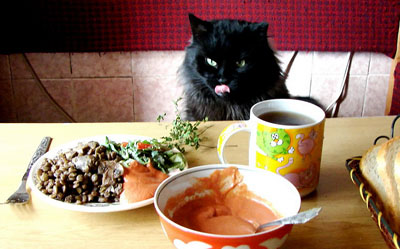 Cat's Breakfast :)