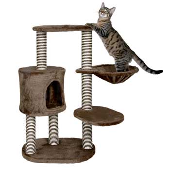 Must-Have Luxury Item for Kitties